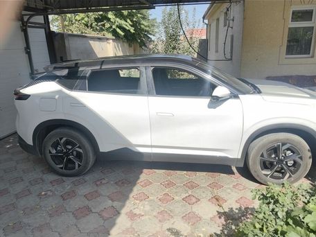 Dongfeng Aeolus Haohan, 2026 — 照片 2