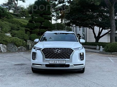Hyundai Palisade, 2020 — 照片 5