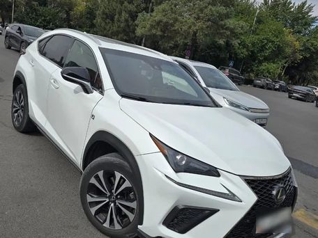 Lexus NX, 2018 — сүрөт 4