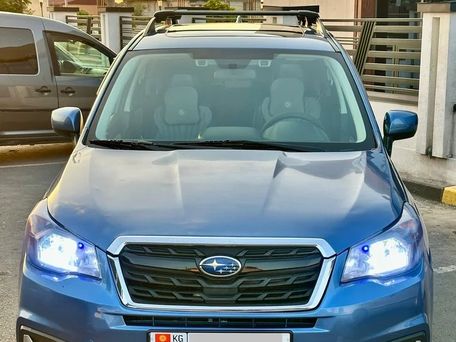 Subaru Forester, 2017 — фото 1