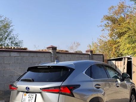 Lexus NX, 2019 — 照片 6