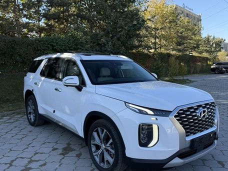 Hyundai Palisade, 2020 — photo 2