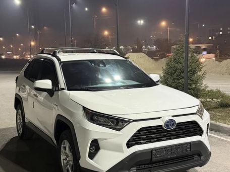 Toyota RAV4, 2019 — photo 1