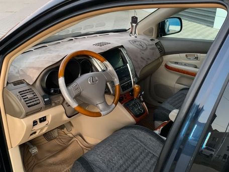 Lexus RX, 2003 — 照片 11
