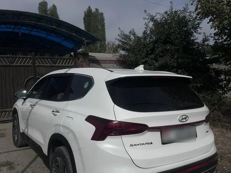 Hyundai Santa Fe, 2020 — 照片 6