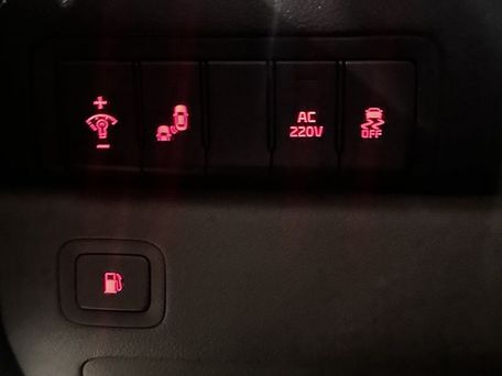 Kia Carnival, 2018 — фото 9