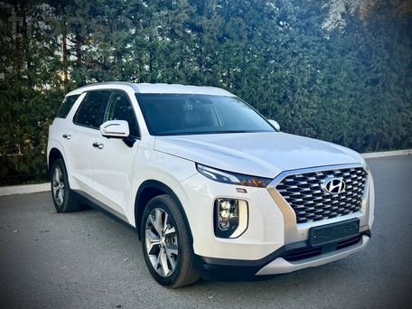 Hyundai Palisade, 2021 — photo 10