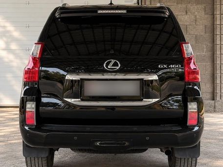 Lexus GX, 2023 — фото 6