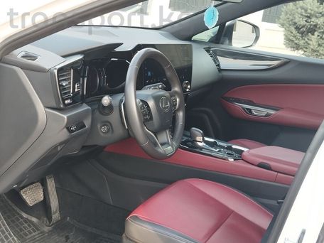 Lexus NX, 2022 — photo 10