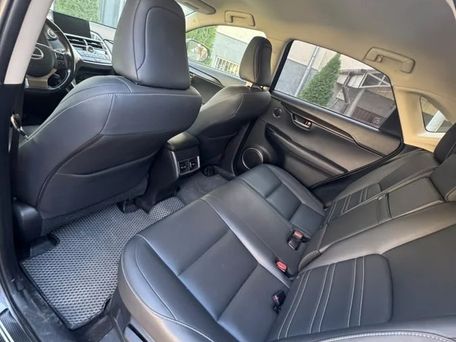 Lexus NX, 2017 — photo 6