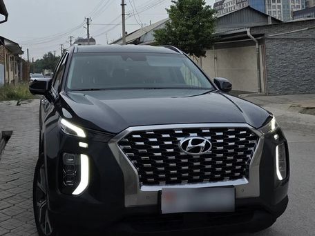Hyundai Palisade, 2019 — фото 1