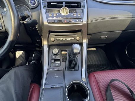 Lexus NX, 2020 — фото 12