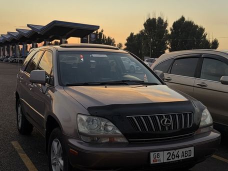 Lexus RX, 2003 — 照片 10