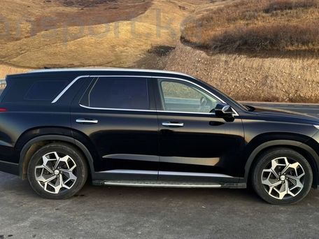 Hyundai Palisade, 2019 — 照片 6