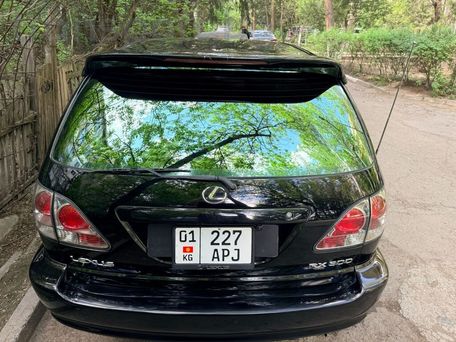 Lexus RX, 2003 — сүрөт 7