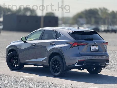 Lexus NX, 2020 — фото 5