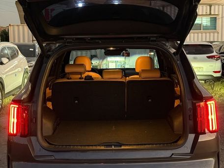 Kia Sorento, 2020 — photo 14