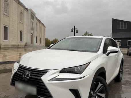 Lexus NX, 2019 — photo 1