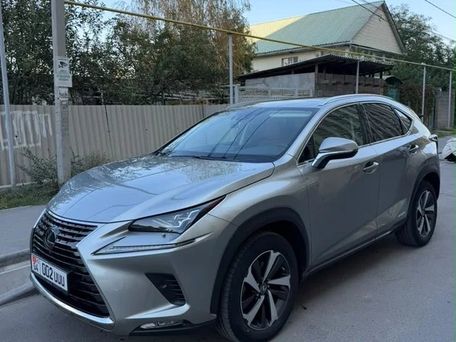 Lexus NX, 2021 — сүрөт 2