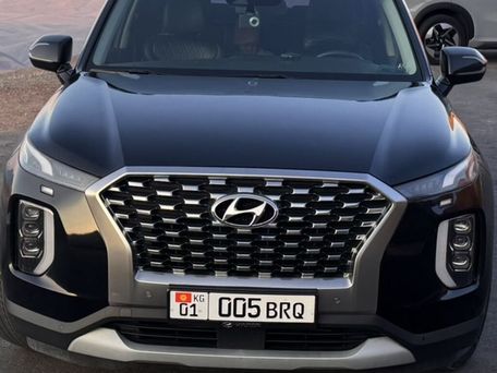Hyundai Palisade, 2019 — 照片 2