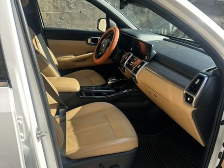 Kia Sorento, 2021 — photo 8