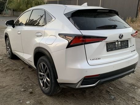 Lexus NX, 2018 — фото 10