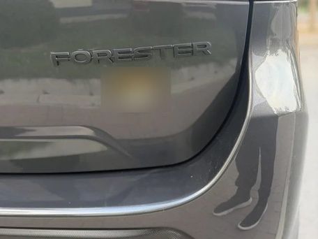 Subaru Forester, 2012 — фото 6