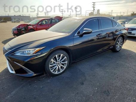 Lexus ES, 2020 — сүрөт 3