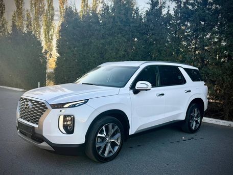 Hyundai Palisade, 2021 — photo 5