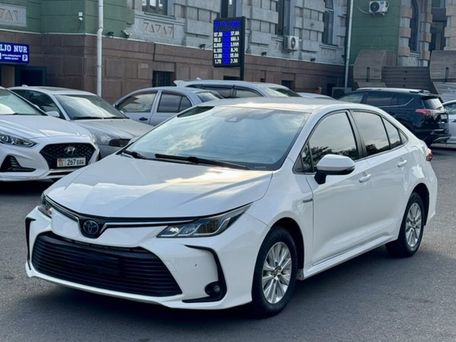 Toyota Corolla, 2019 — фото 2
