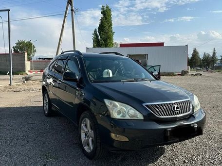 Lexus RX, 2003 — 照片 6