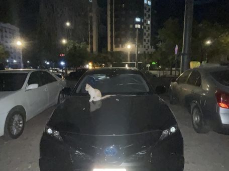 Hyundai Sonata, 2021