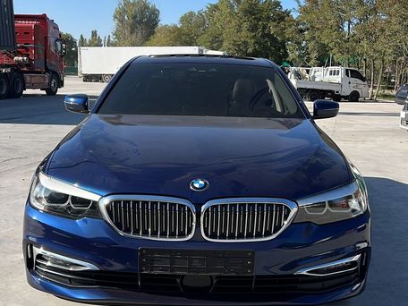 BMW 5 серии, 2019 — 照片 8