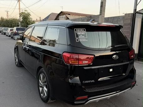 Kia Carnival, 2020 — фото 12