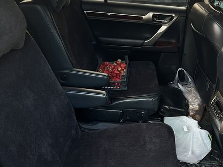 Lexus GX, 2019 — photo 10