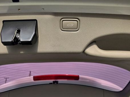Kia Carnival, 2020 — сүрөт 16