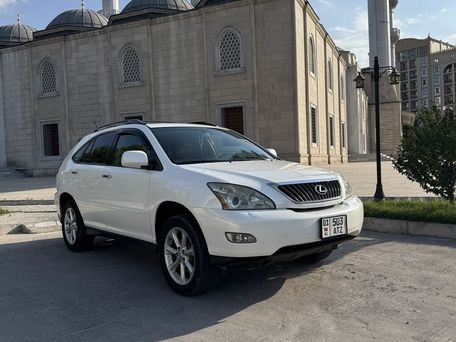Lexus RX, 2008 — сүрөт 1