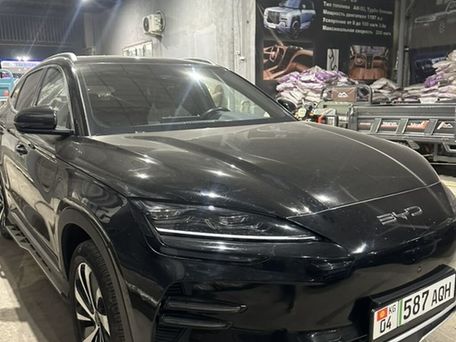 BYD Song Plus, 2023 — 照片 2
