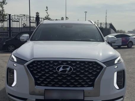 Hyundai Palisade, 2020 — сүрөт 12