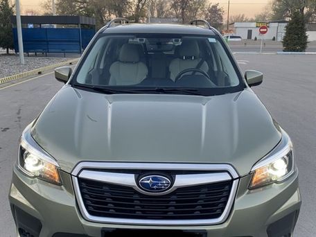 Subaru Forester, 2019 — 照片 7