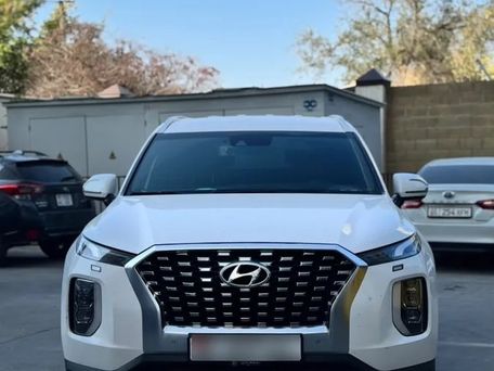 Hyundai Palisade, 2020 — photo 1